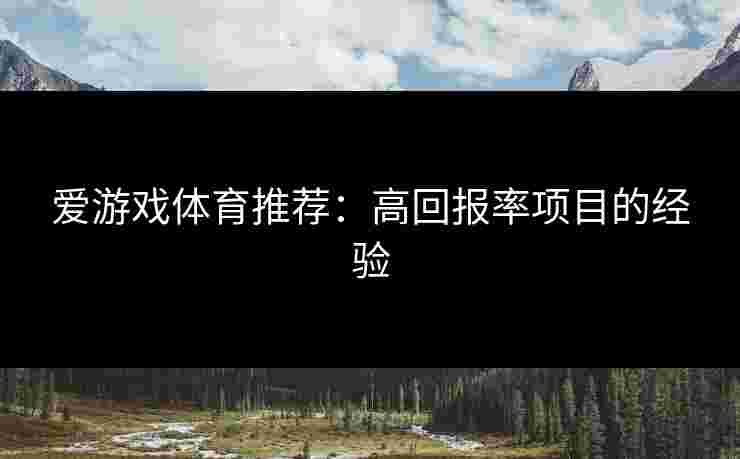 爱游戏体育推荐：高回报率项目的经验