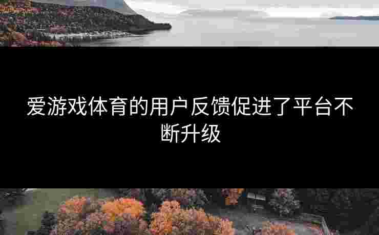 爱游戏体育的用户反馈促进了平台不断升级