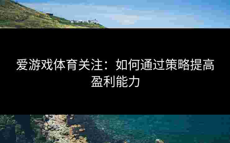 爱游戏体育关注：如何通过策略提高盈利能力