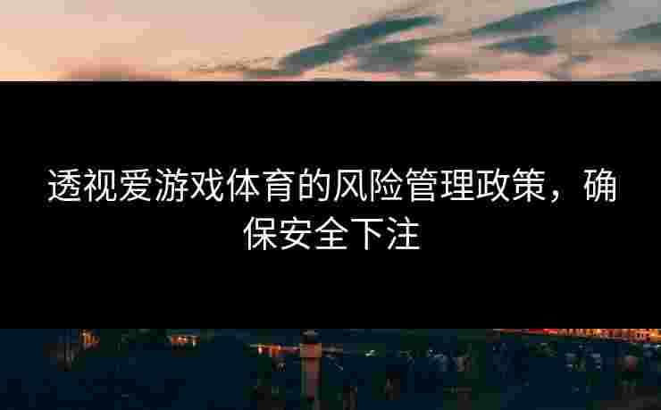 透视爱游戏体育的风险管理政策，确保安全下注