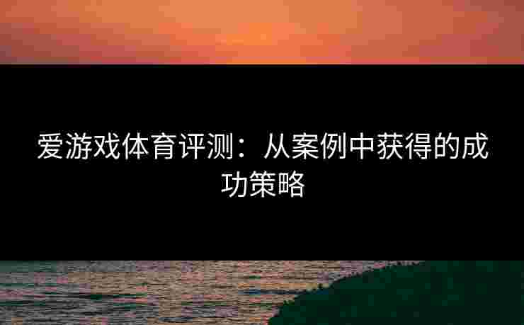 爱游戏体育评测：从案例中获得的成功策略