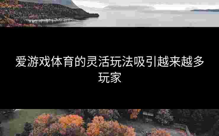 爱游戏体育的灵活玩法吸引越来越多玩家